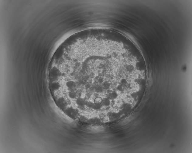 X0000114411243200911271518