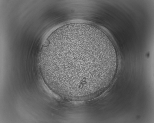 X0000114411244200911271518