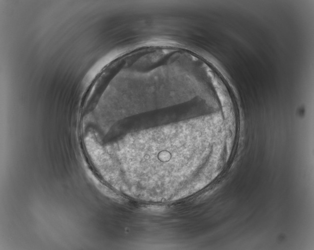 X0000114411245200911271518