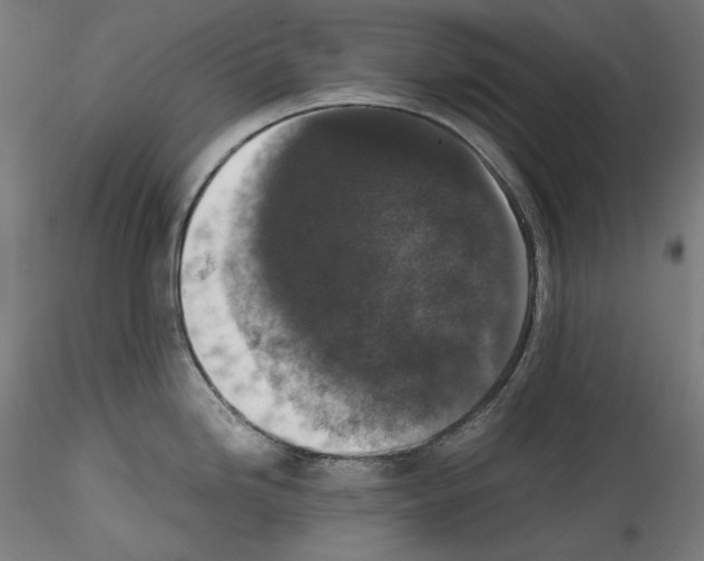 X0000114411246200911271518