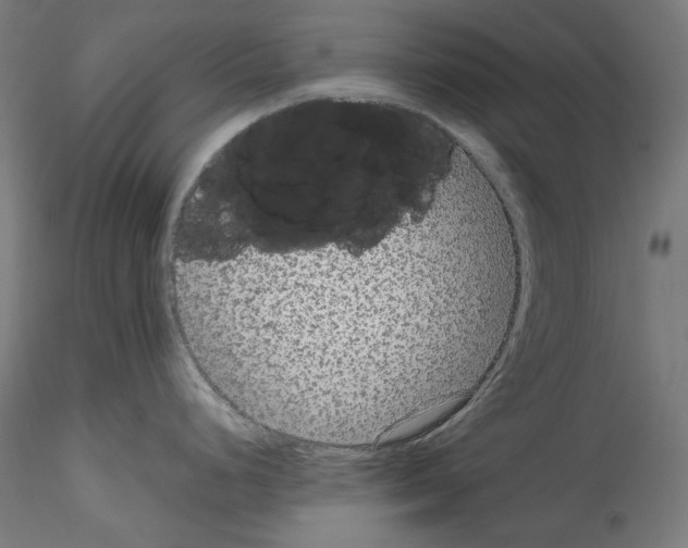 X0000114411248200911271518