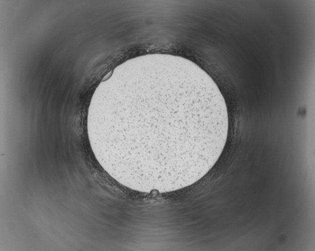 X0000114411250200911271518