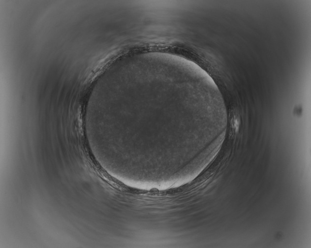 X0000114411252200911271518