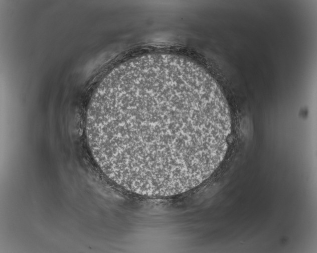 X0000114411253200911271518