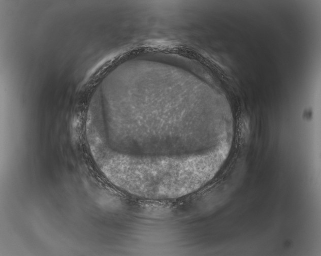 X0000114411254200911271518