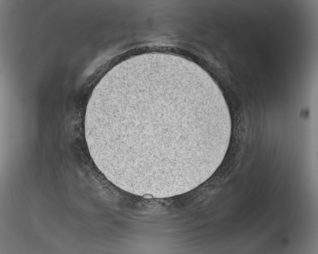 X0000114411255200911271518