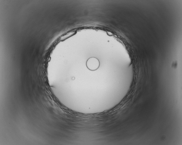 X0000114411256200911271518