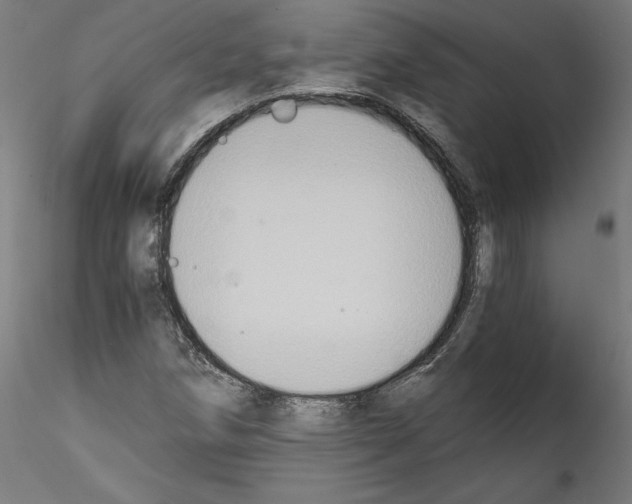 X0000114411258200911271518