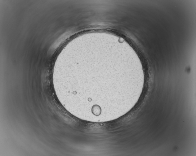 X0000114411259200911271518