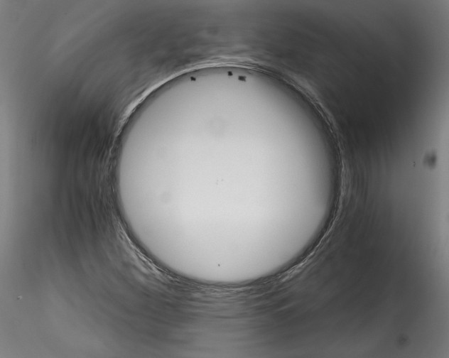 X0000114411260200911271518