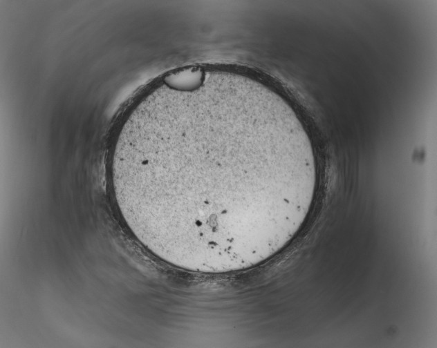 X0000114411262200911271518