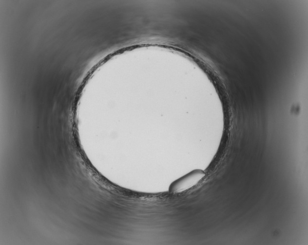 X0000114411264200911271517