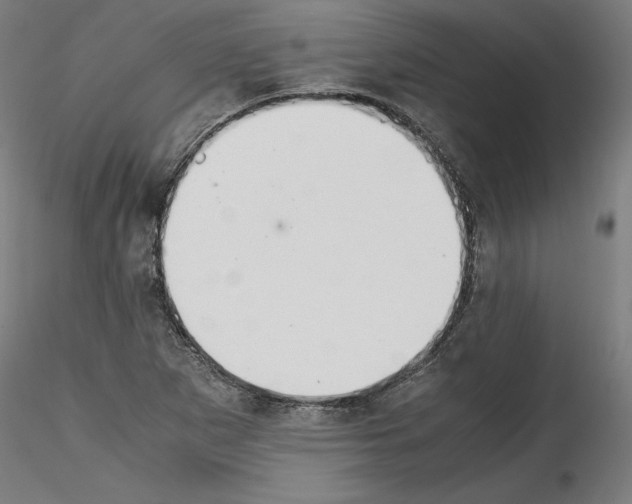 X0000114411265200911271517