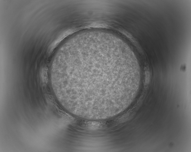 X0000114411266200911271517