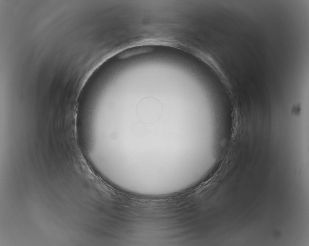 X0000114411268200911271517