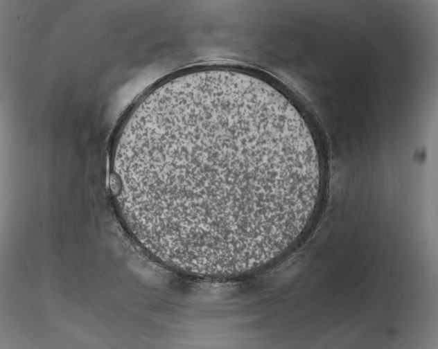 X0000114411269200911271517