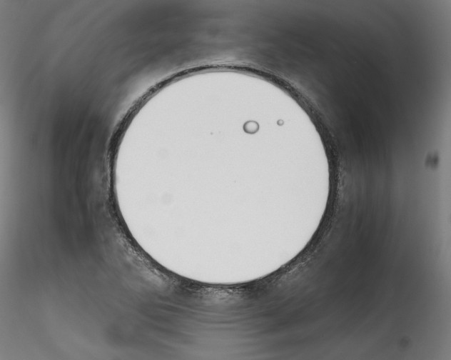 X0000114411270200911271517