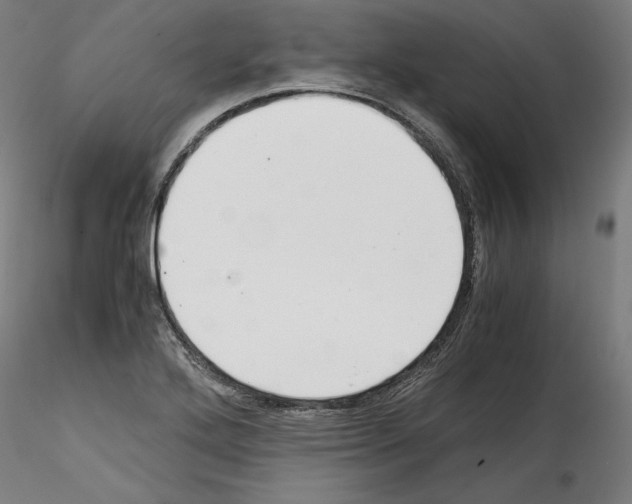 X0000114411272200911271517