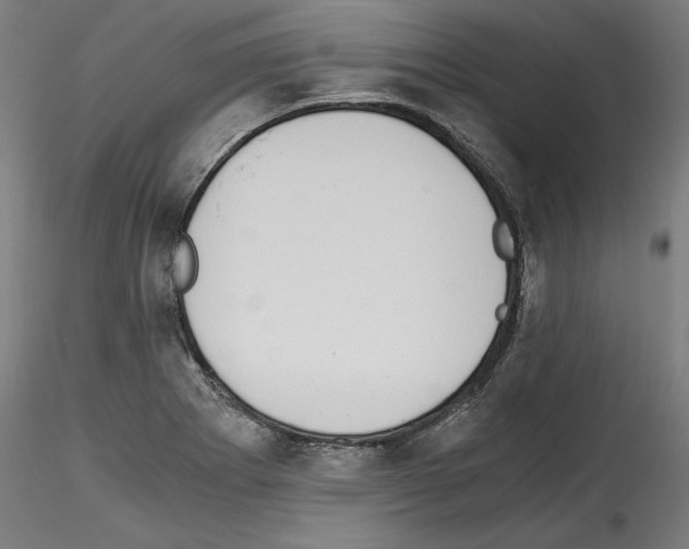 X0000114411273200911271517