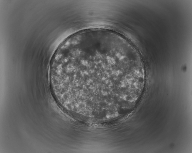 X0000114411275200911271517