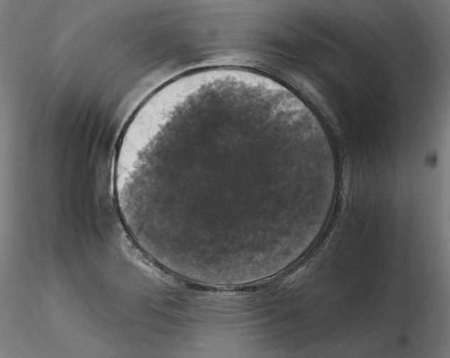 X0000114411276200911271517