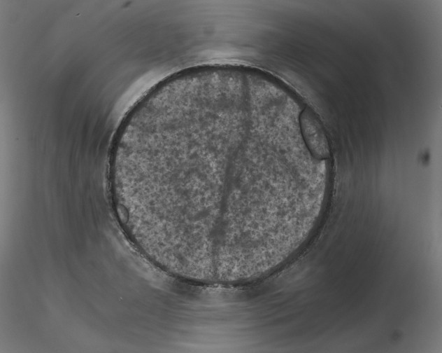 X0000114411277200911271517