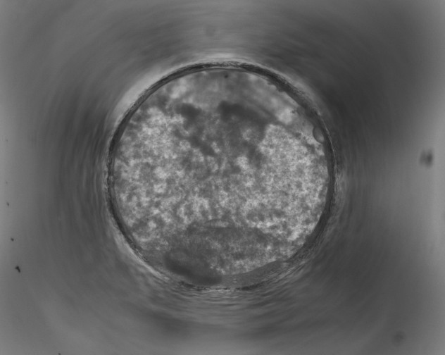 X0000114411279200911271517