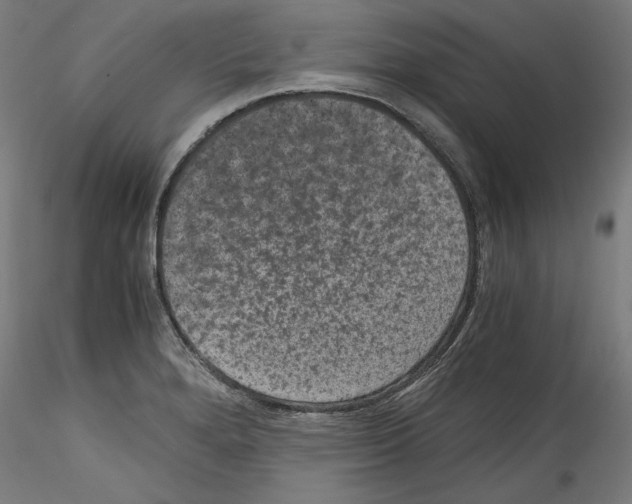 X0000114411280200911271517