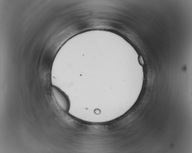 X0000114411281200911271517