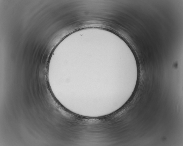 X0000114411282200911271517