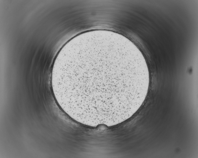 X0000114411284200911271517