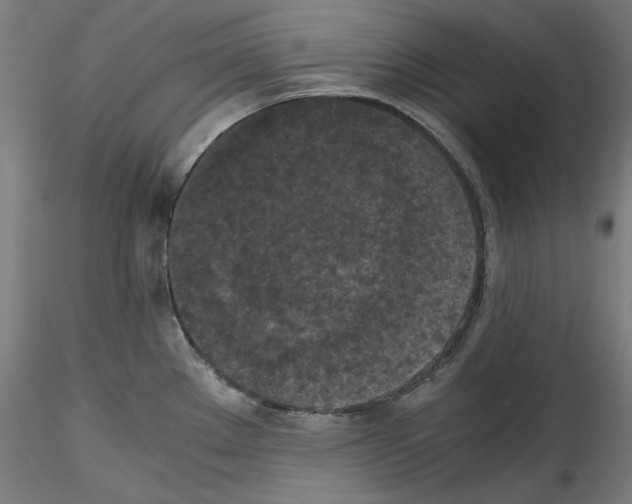 X0000114411289200911271517