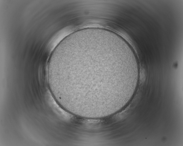 X0000114411290200911271517