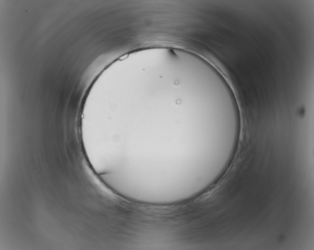 X0000114411293200911271517