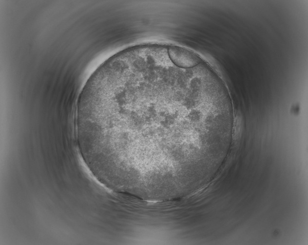 X0000114411295200911271517