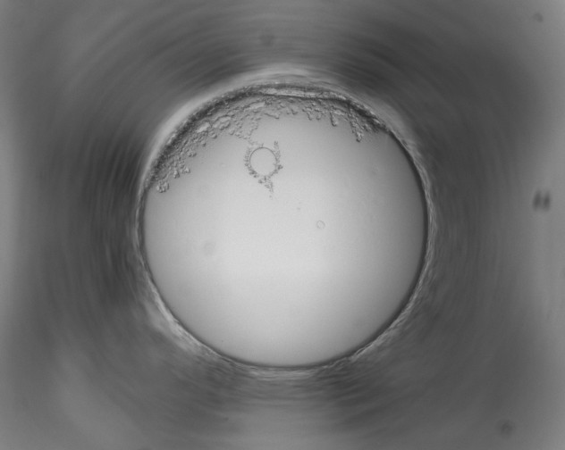 X0000114411296200911271517