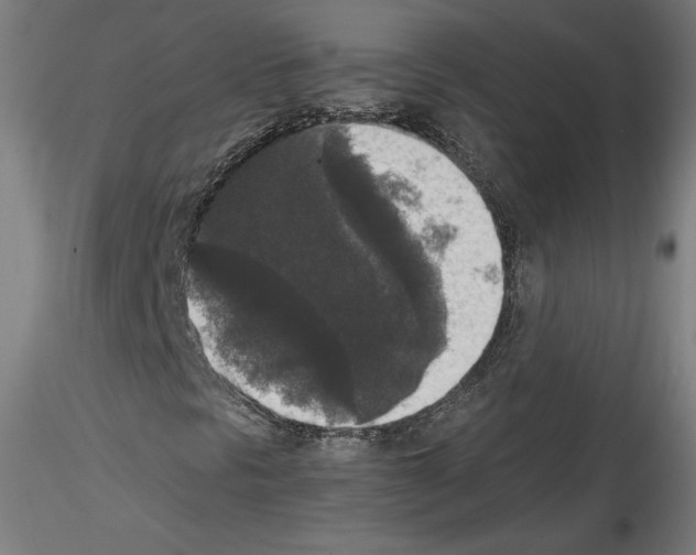 X0000114411297200911271516