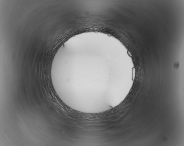 X0000114411298200911271516