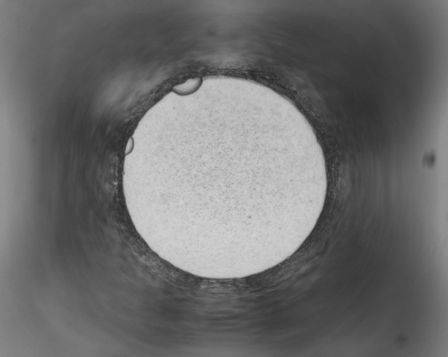 X0000114411301200911271516