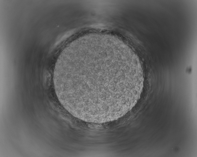 X0000114411302200911271516