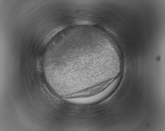 X0000114411305200911271516