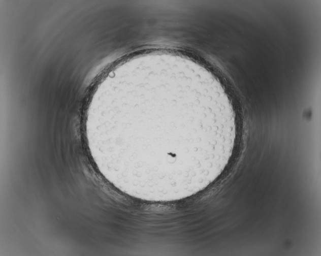 X0000114411307200911271517