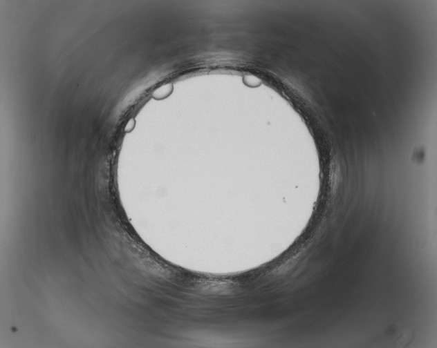 X0000114411309200911271517