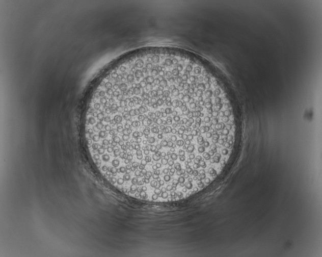 X0000114411311200911271517