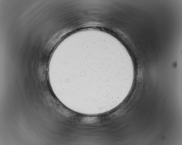 X0000114411313200911271517