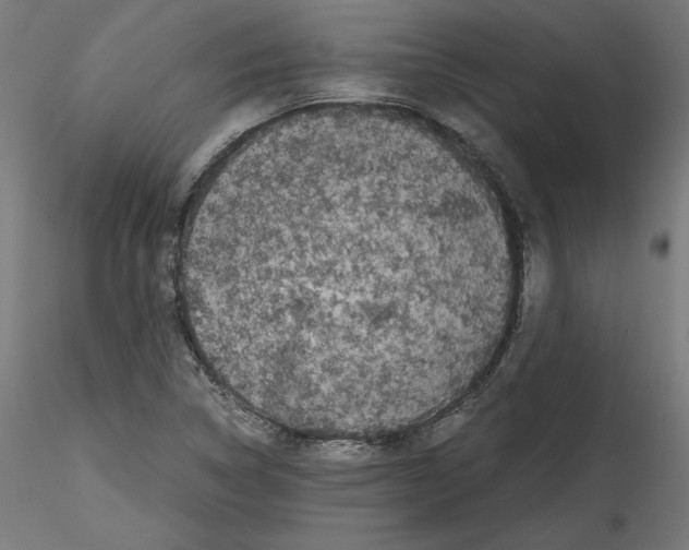 X0000114411314200911271517