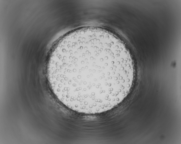 X0000114411315200911271517