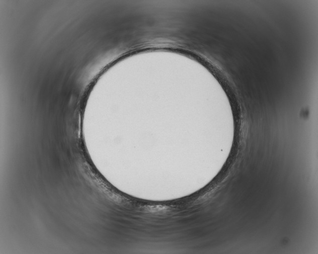 X0000114411317200911271517