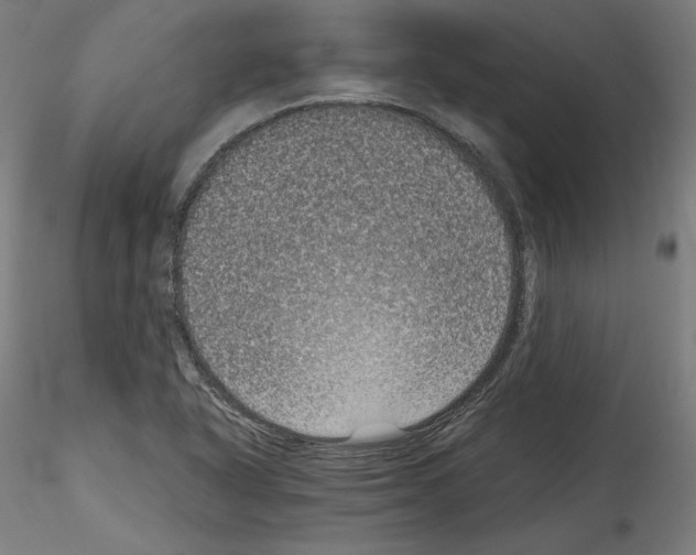 X0000114411318200911271517