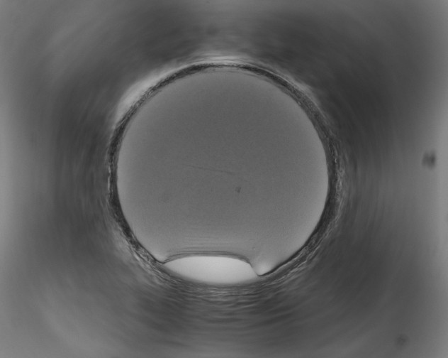 X0000114411319200911271517